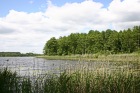 Müritz-Nationalpark